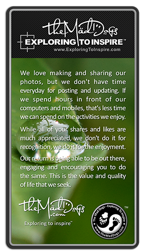 Social Media is limited