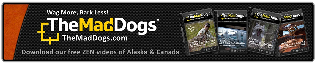 Download our free videos!