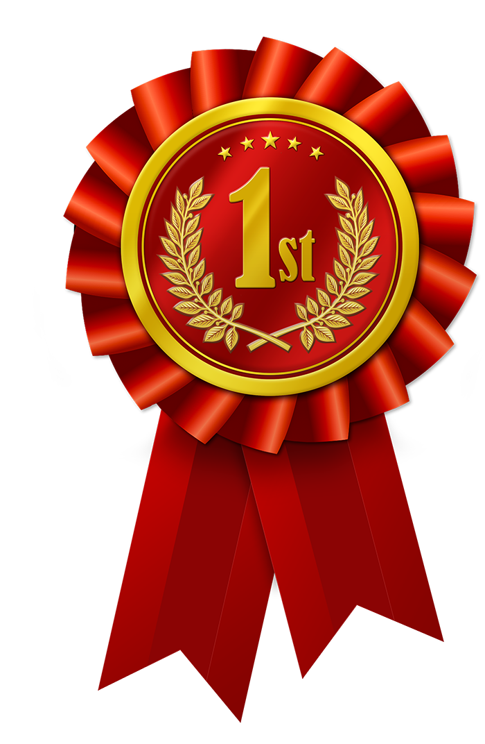 Mad Dog Voyager = #1!