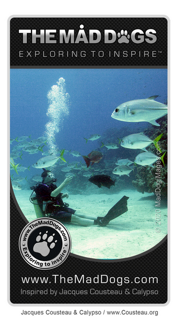 Diving - Our exploring is inspired by Jacques Cousteau & Calypso