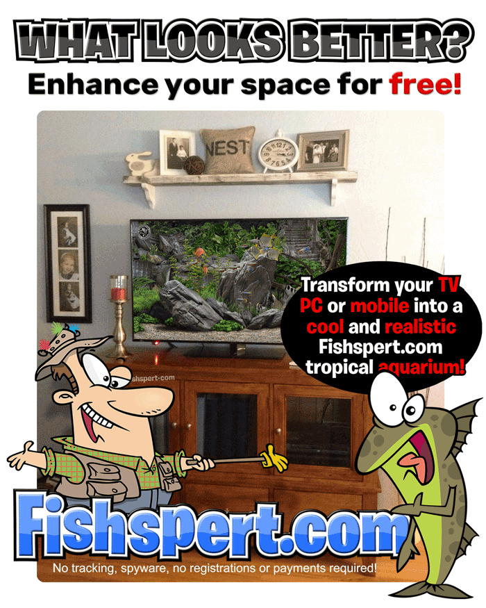 Change your TV to a live aquarium from Fishspert.com