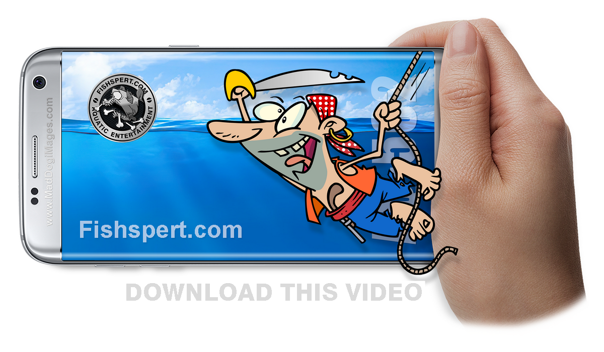 Download or watch tropical fish aquarium AQ-502 - Pirate treasure for kids